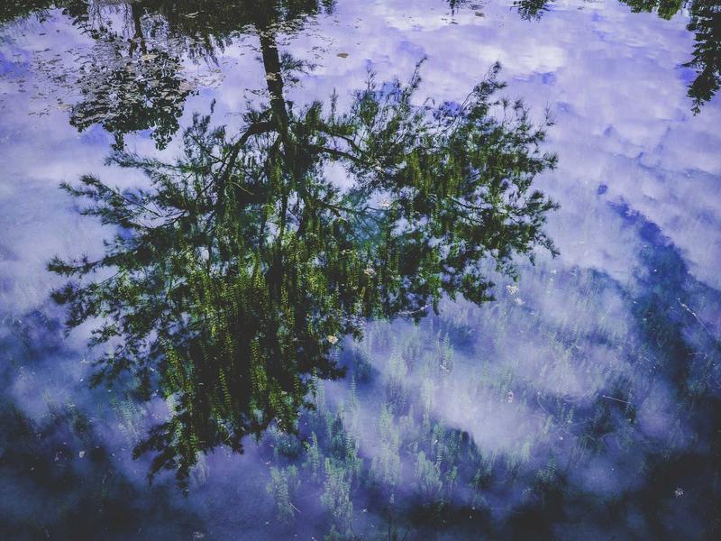 Felicia Germán San Francisco de Macorís